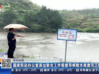 国家防总办公室派出联合工作组督导病险水库度汛工作