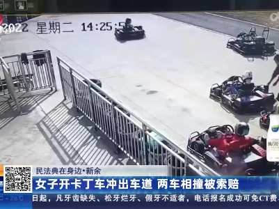 【民法典在身边】新余：女子开卡丁车冲出车道 两车相撞被索赔