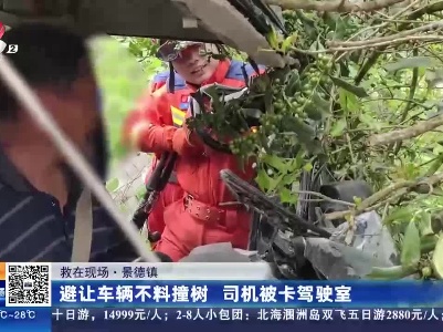 【救在现场】景德镇：避让车辆不料撞树 司机被卡驾驶室