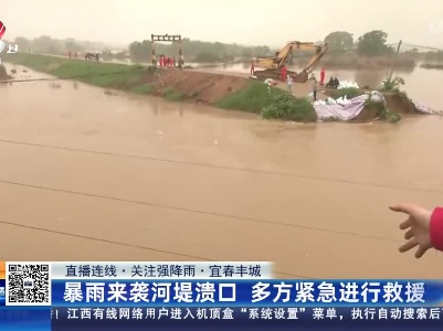 【直播连线·关注强降雨】宜春丰城：暴雨来袭河堤溃口 多方紧急进行救援