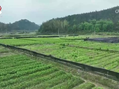 社会传真20230509 我们村的“土”专家