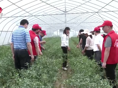 【学思想 强党性 重实践 建新功】省农业农村厅：田间地头解民忧