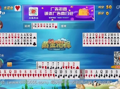 谁是赢家20230512