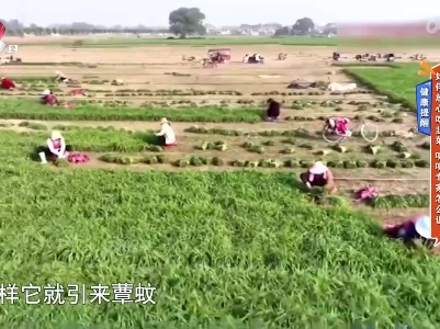 地宝当家20230522