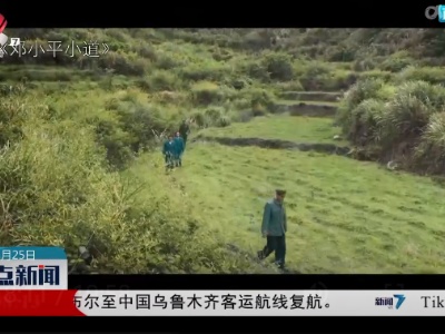 整点新闻20230525 10:00