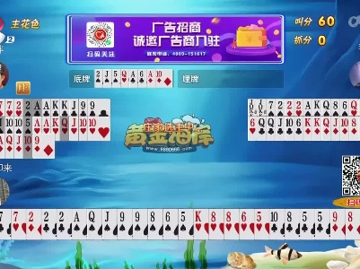 谁是赢家20230511