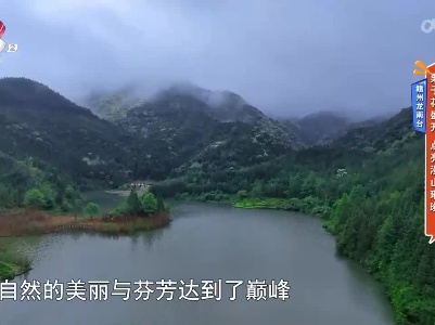 赣州龙南台：栗子花盛开 点亮漫山璀璨