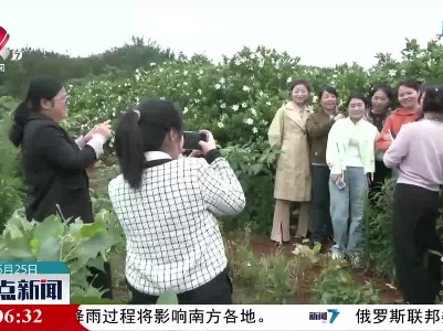 花期已至 芬芳五月