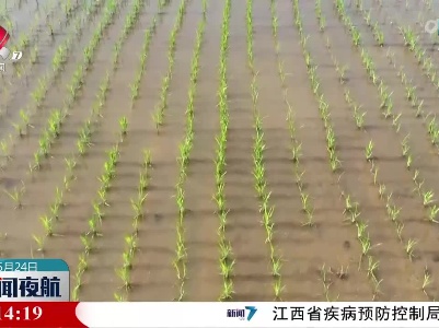 早稻田管正当时 科技助力促增收