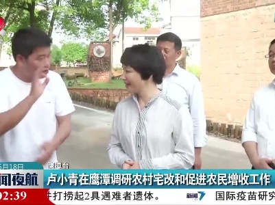 卢小青在鹰潭调研农村宅改和促进农民增收工作