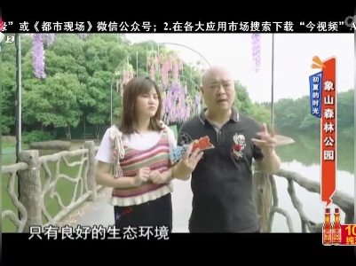 地宝当家20230510