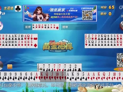 谁是赢家20230517