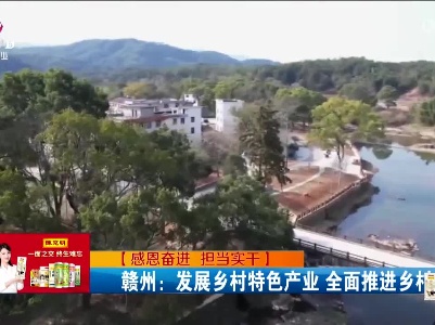 【感恩奋进 担当实干】赣州：发展乡村特色产业 全面推进乡村振兴