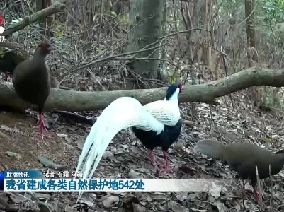 我省建成各类自然保护地542处