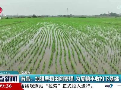 南昌：加强早稻田间管理 为夏粮丰收打下基础