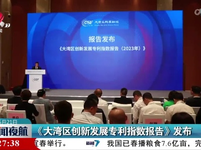 《大湾区创新发展专利指数报告》发布
