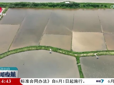 2023 小龙虾产业大会暨第二届江西永修小龙虾节发布会举行