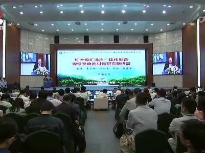2023中国（新余）锂电新能源材料科技大会举行