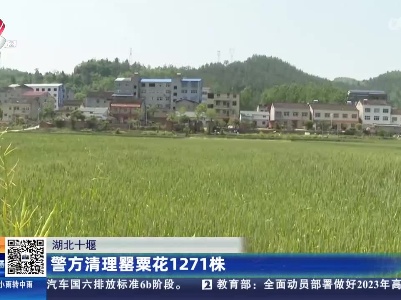 都市现场·午间版20230510