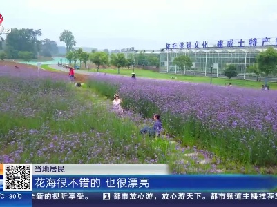 都市现场·午间版20230531