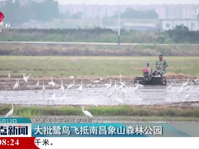 整点新闻20230513 10:00