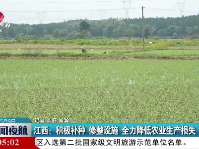 江西：积极补种 修整设施 全力降低农业生产损失