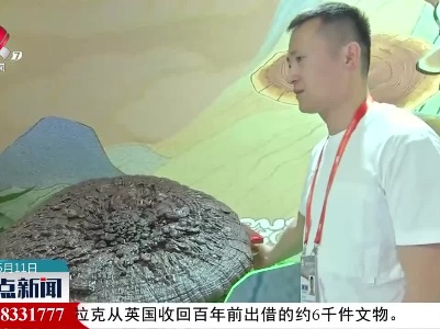 整点新闻20230511 16:00
