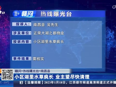 【赣问·热线曝光台】南昌县：小区湖里水草疯长 业主望尽快清理