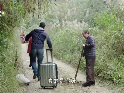 乡村栏目剧场20230509 海棠花开