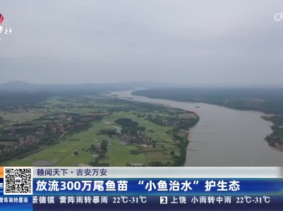 【赣闻天下】吉安万安：放流300万尾鱼苗“小鱼治水”护生态