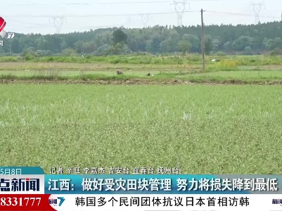 整点新闻20230508 12:00