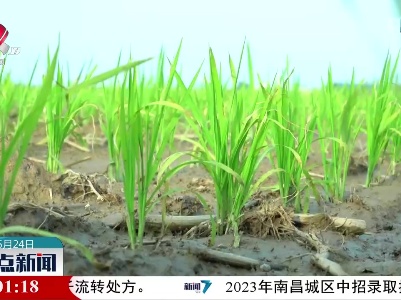 整点新闻20230524 16:00