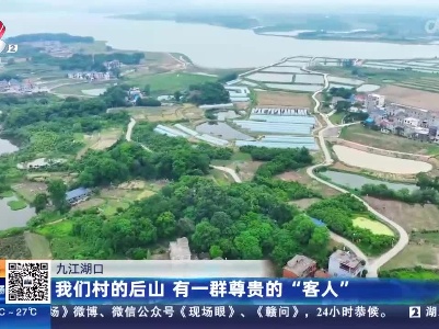 都市现场20230512