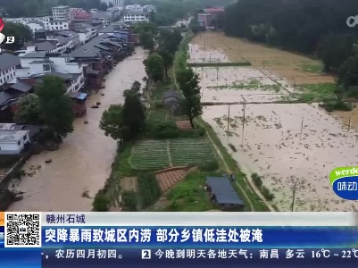 赣州石城：突降暴雨致城区内涝 部分乡镇低洼处被淹