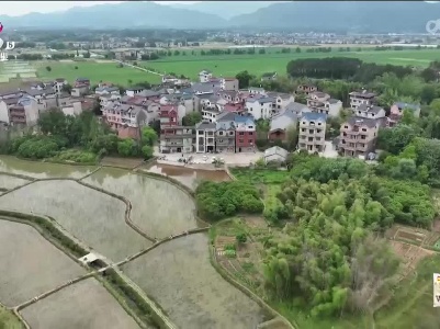 新闻晚高峰20230531