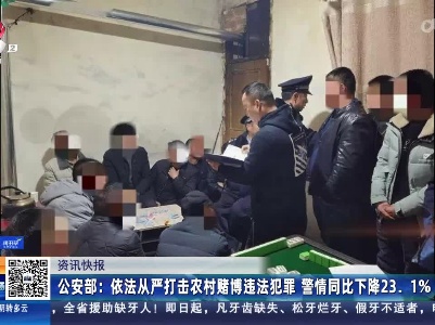 公安部：依法从严打击农村赌博违法犯罪 警情同比下降23.1%