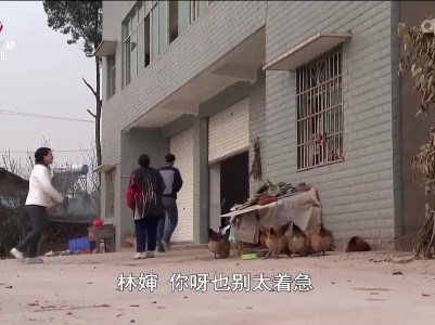乡村栏目剧场20230519 悬崖