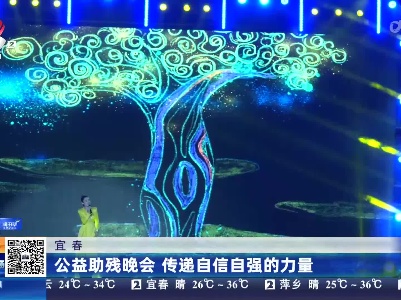 宜春：公益助残晚会 传递自信自强的力量