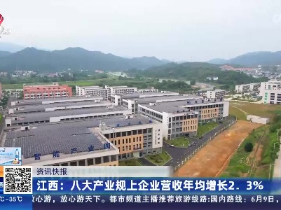 江西：八大产业规上企业营收年均增长2.3%