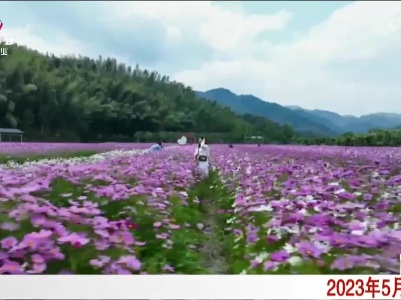 南昌：缤纷夏日 花开如画