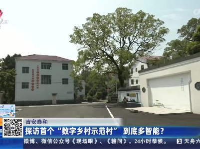 吉安泰和：探访首个“数字乡村示范村”到底多智能？