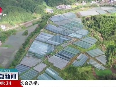 全南：“有机”开道“蔬”通湾区