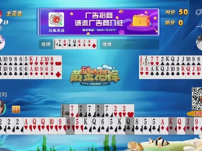 谁是赢家20230508