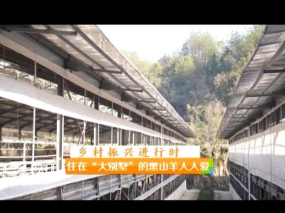 稻花香里20230208 乡村振兴进行时——住在“大别墅”的黑山羊人人爱