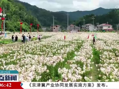 整点新闻20230525 14:00