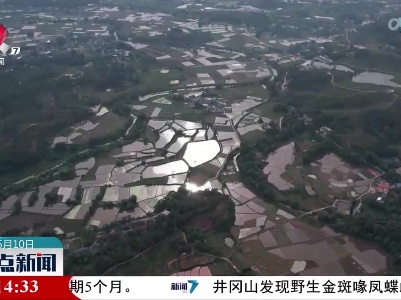 整点新闻20230510 10:00