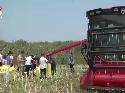 全省冬种作物收获已近尾声 增产趋势明显