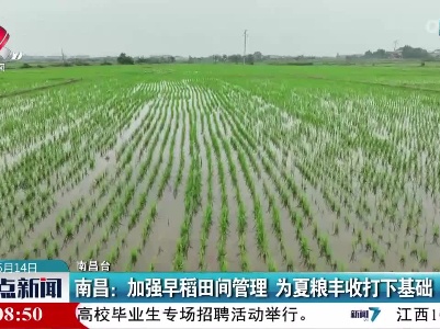 南昌：加强早稻田间管理 为夏粮丰收打下基础