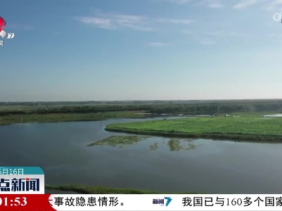 整点新闻20230515 10:00