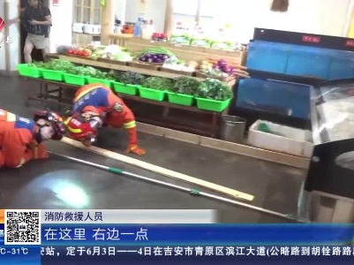 宜春：眼镜蛇饭店“乘凉” 消防员提桶“打包”